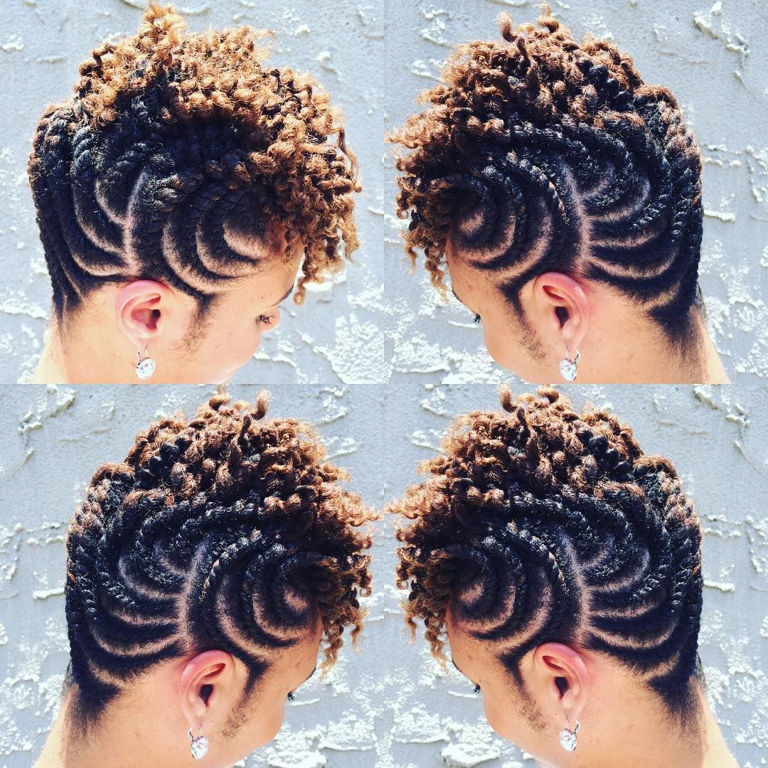 Twisted Natural Hairstyles
 Natural Twist Hairstyles