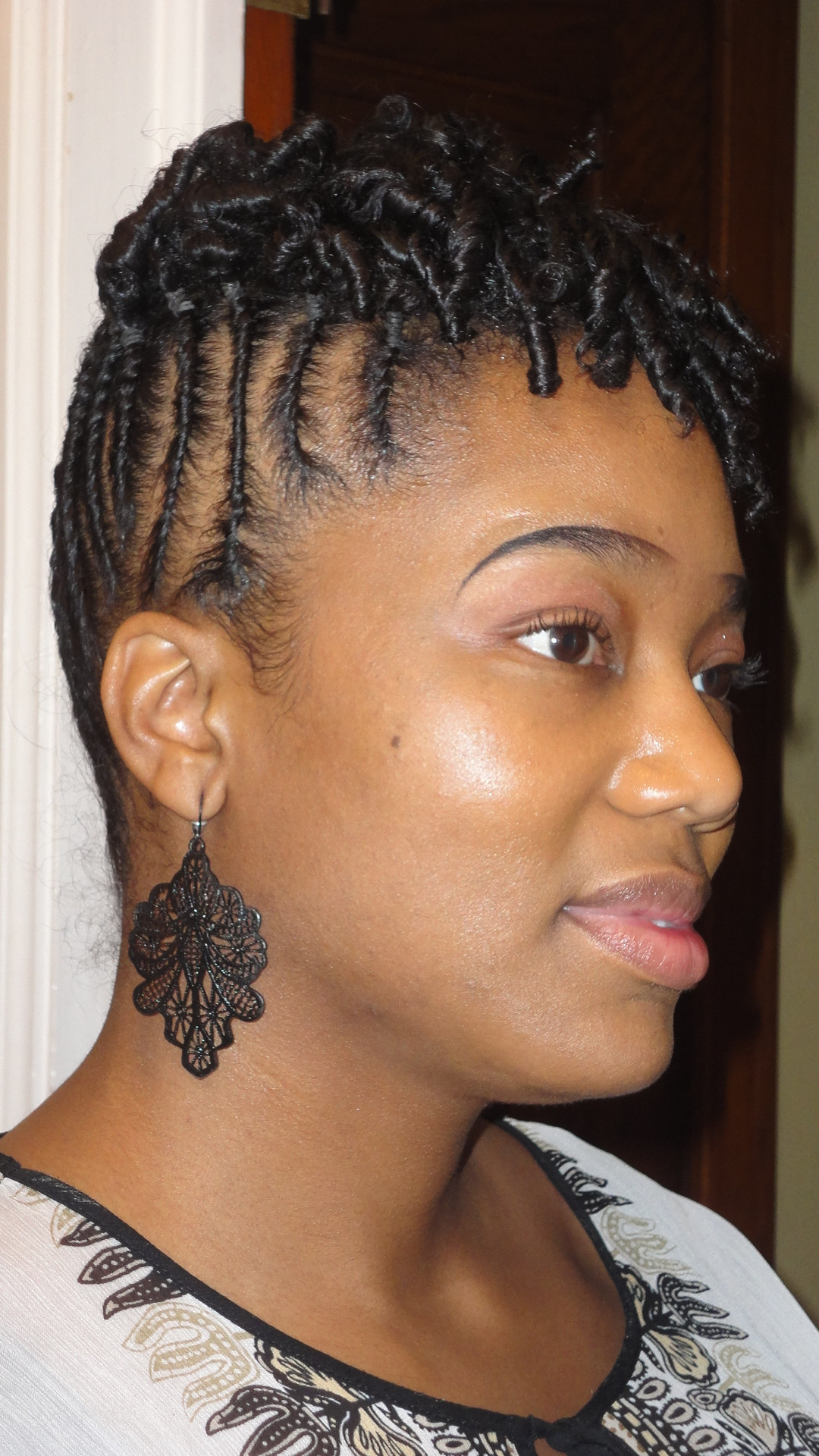 Twisted Natural Hairstyles
 two year natural hair journey
