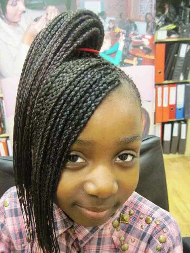 Twists Hairstyles For Little Girls
 64 Cool Braided Hairstyles for Little Black Girls – HAIRSTYLES