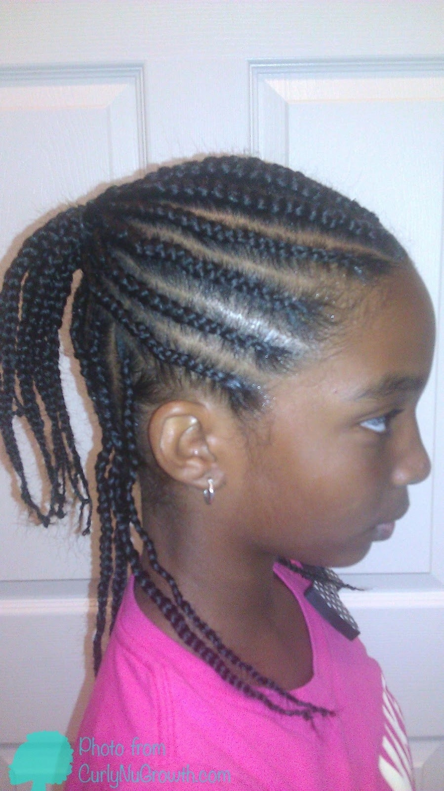Two Braided Hairstyles
 Two Layer Braids Hairstyles