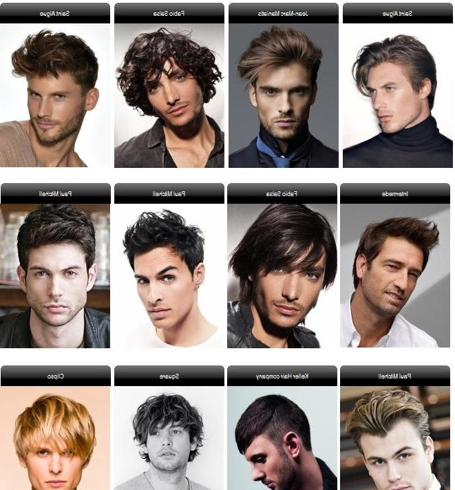 Types Of Male Haircuts
 different types of hairstyles for guys HairStyles