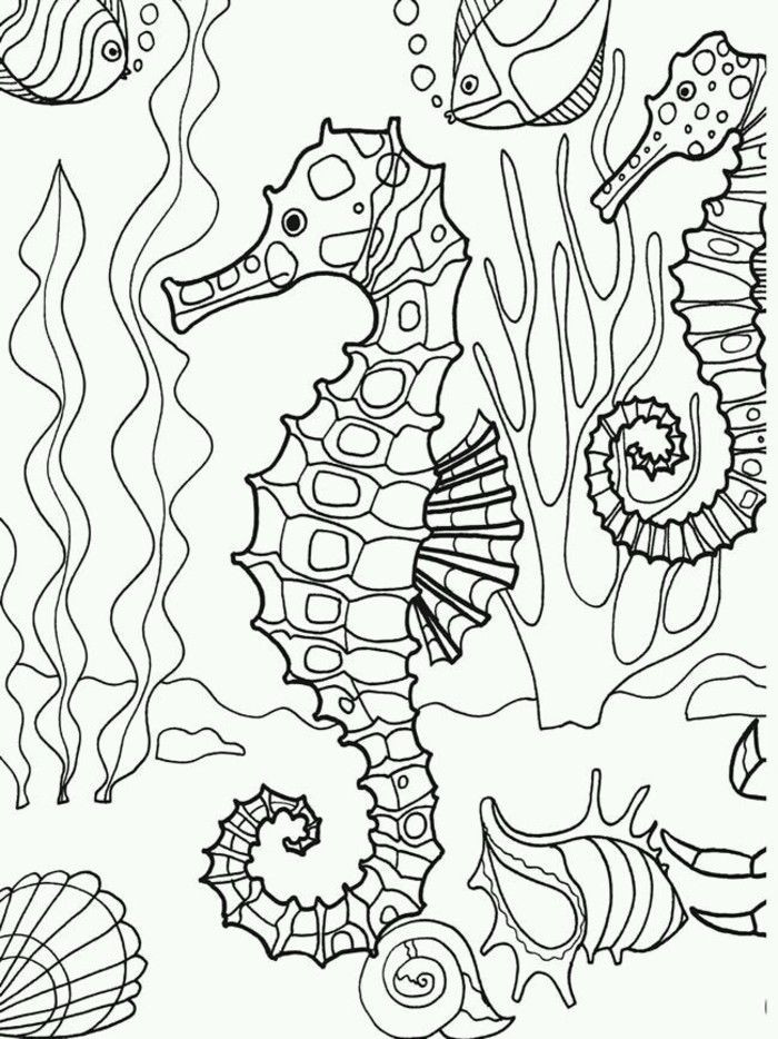 Underwater Coloring Book Pages
 Under The Sea Coloring Pages Bestofcoloring