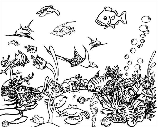 Underwater Coloring Book Pages
 9 Sea Coloring Pages JPG AI Illustrator Download