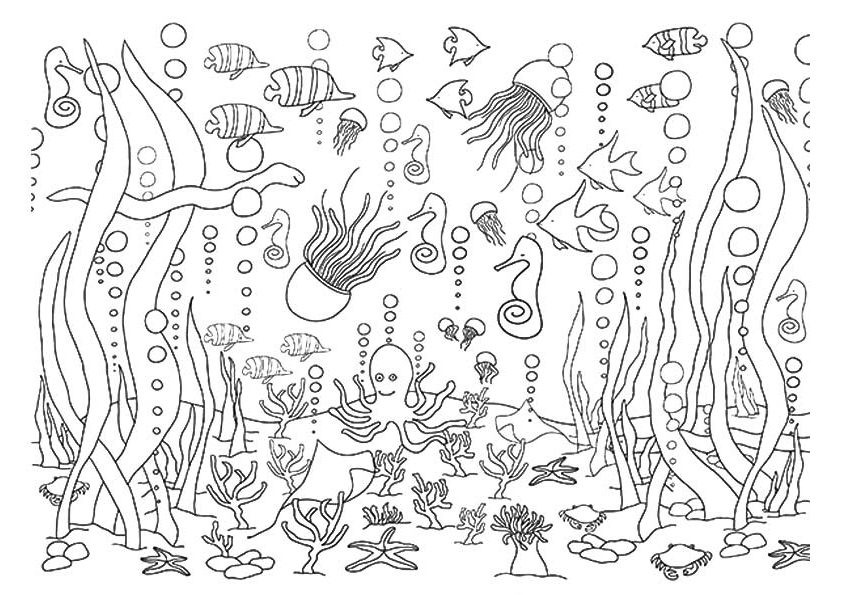 Underwater Coloring Book Pages
 5 Underwater Coloring Pages diy Thought