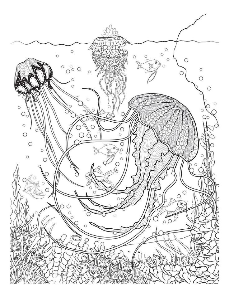 Underwater Coloring Book Pages
 The 377 best Coloring pages to print Underwater images