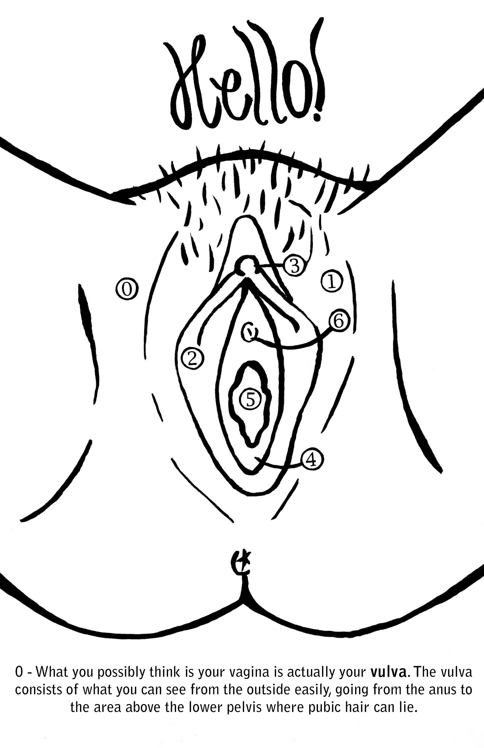 Vagina Coloring Book
 Hello Vagina This coloring book was motivated by the
