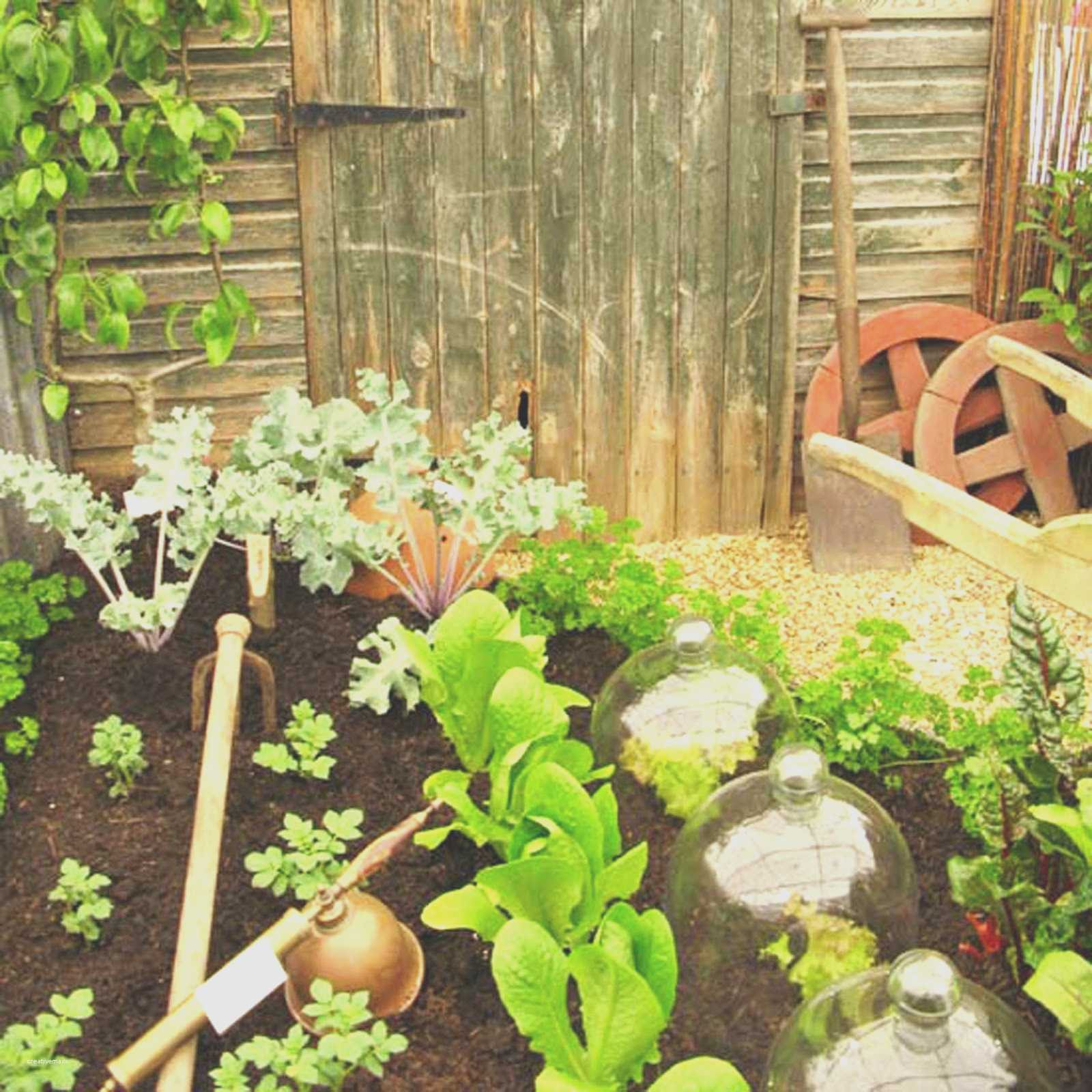 Best ideas about Vegetable Garden Ideas For Small Spaces
. Save or Pin Ve able garden ideas small spaces lovely applied Now.