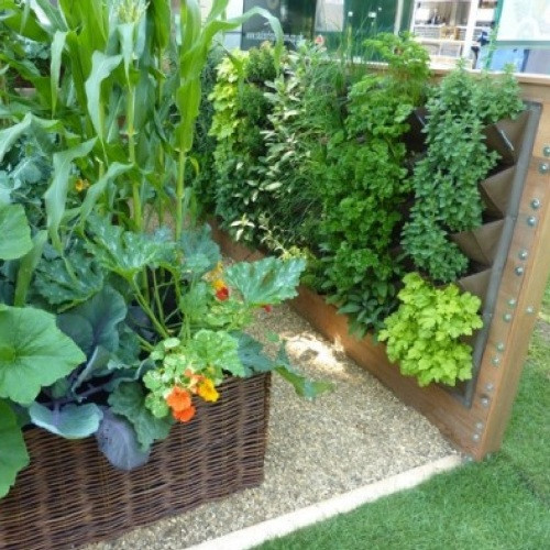 Best ideas about Vegetable Garden Ideas For Small Spaces
. Save or Pin How To Make A Ve able Garden In Small Spaces 5 Ways For Now.