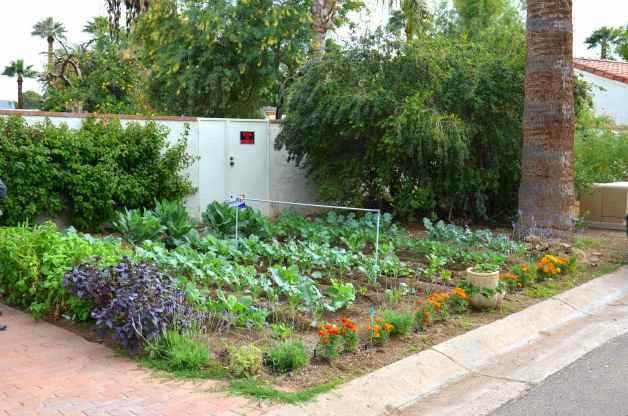 Best ideas about Vegetable Garden Ideas For Small Spaces
. Save or Pin Small Space Ve able Gardening Ideas Birds and Blooms Now.