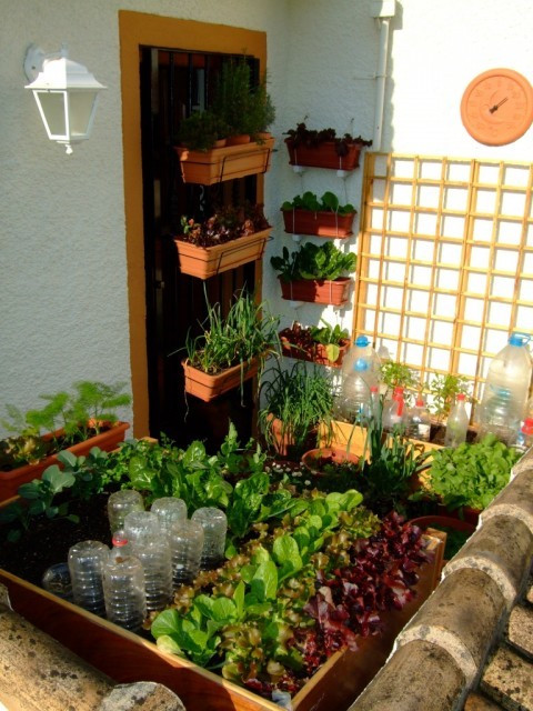 Best ideas about Vegetable Garden Ideas For Small Spaces
. Save or Pin Small Space Gardening – 20 Clever Ideas to Grow in a Now.