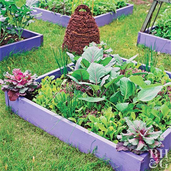 Best ideas about Vegetable Garden Ideas For Small Spaces
. Save or Pin Small Space Ve able Garden Plan & Ideas Now.