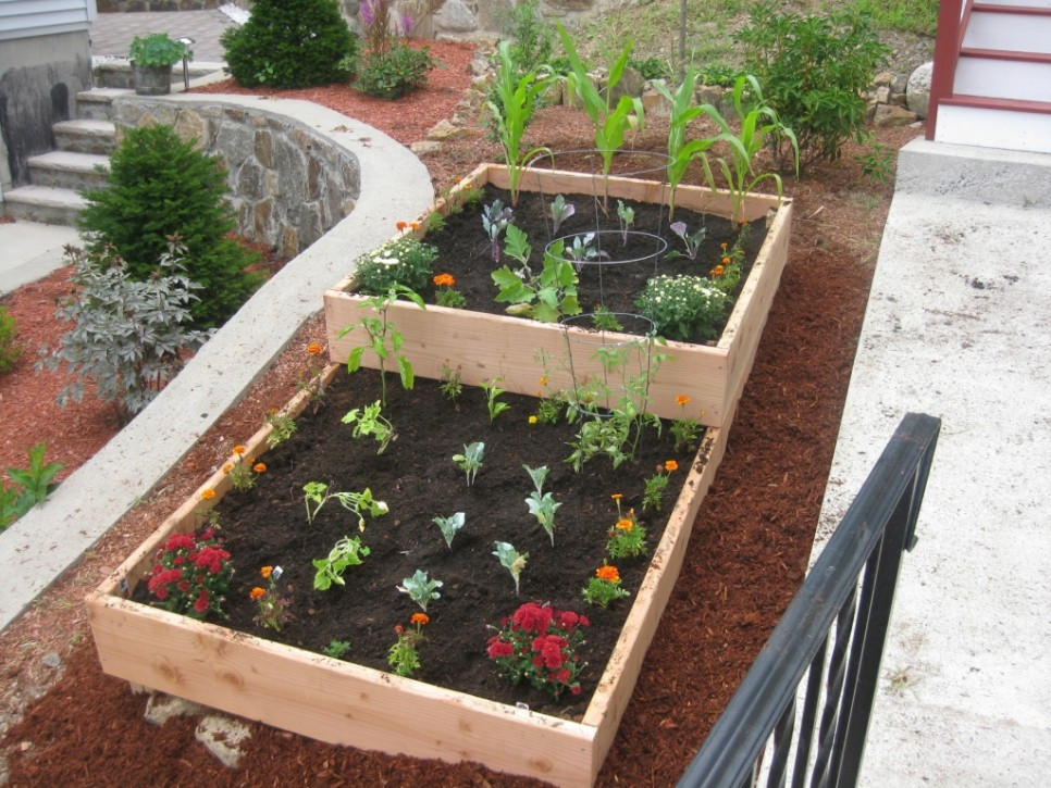 Best ideas about Vegetable Garden Ideas For Small Spaces
. Save or Pin Soil Mix For DIY Wood Raised Bed Ve able Garden For Now.