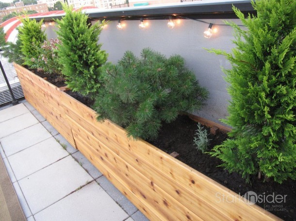 Best ideas about Vegetable Planter Box DIY
. Save or Pin DIY Free Flower Planter Box Plans Wooden PDF making wood Now.