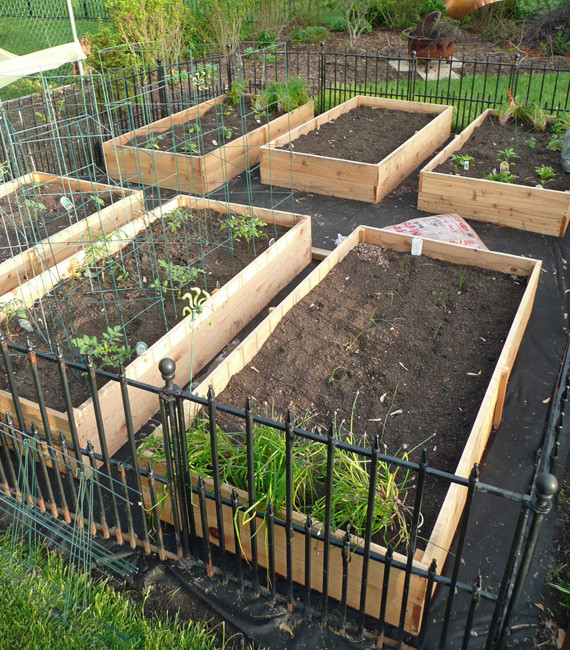 Best ideas about Vegetable Planter Box DIY
. Save or Pin Ve able Garden Box DIY Now.