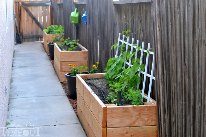 Best ideas about Vegetable Planter Box DIY
. Save or Pin Side Yard Ve able Garden Small Space Solutions Mom Now.