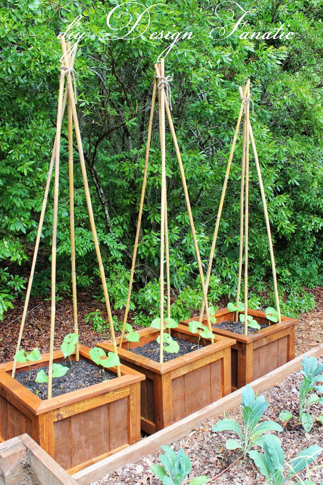 Best ideas about Vegetable Planter Box DIY
. Save or Pin Building A Planter Box For Ve ables Now.