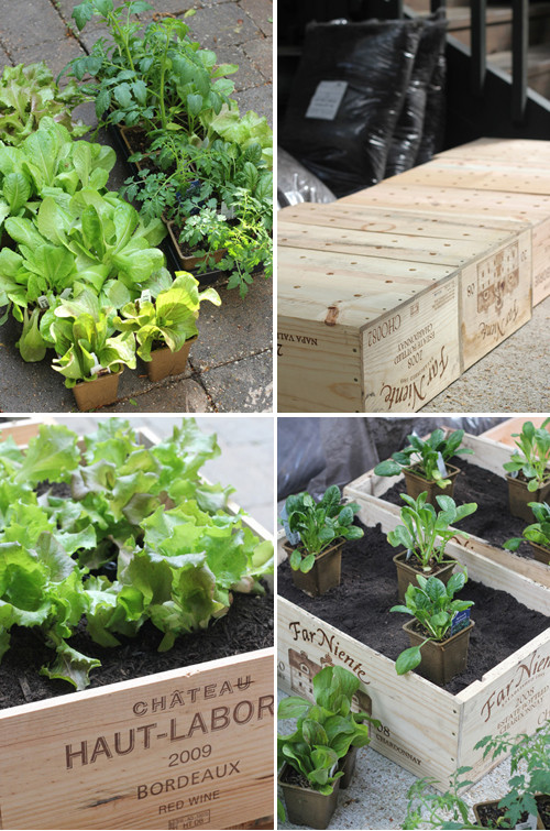 Best ideas about Vegetable Planter Box DIY
. Save or Pin Original Beans d Idea DIY Wine Box Ve able Garden Now.
