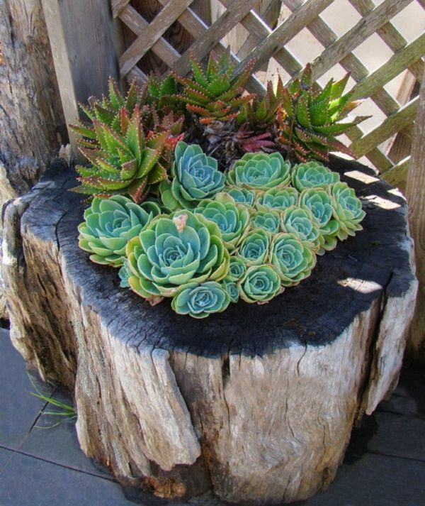 Best ideas about Vera Deck Planters
. Save or Pin Einen originellen Pflanztopf aus Baumstumpf selber machen Now.