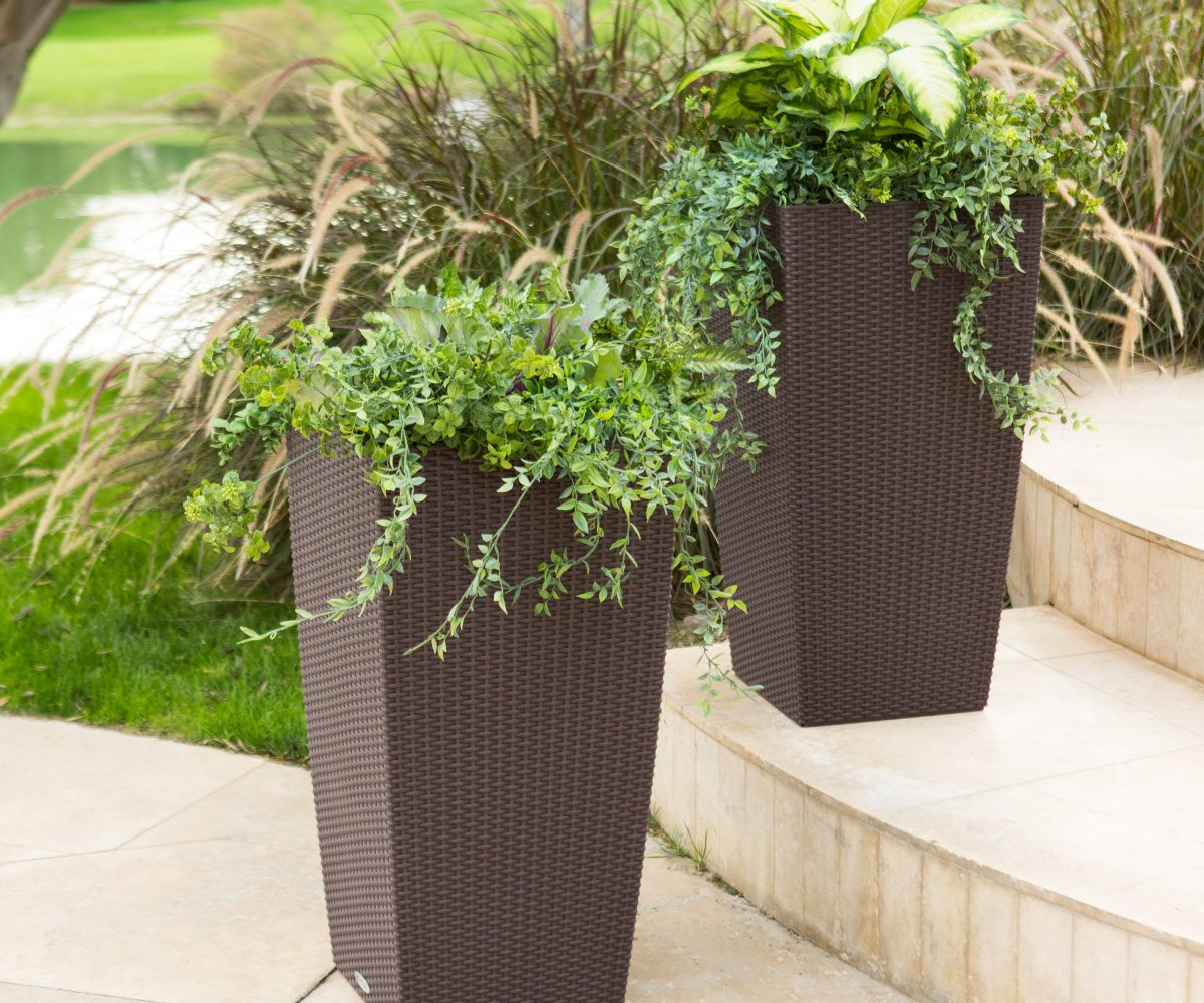 Best ideas about Vera Deck Planters
. Save or Pin Extraordinary Growing Food Micro Gardener Then Use As Now.