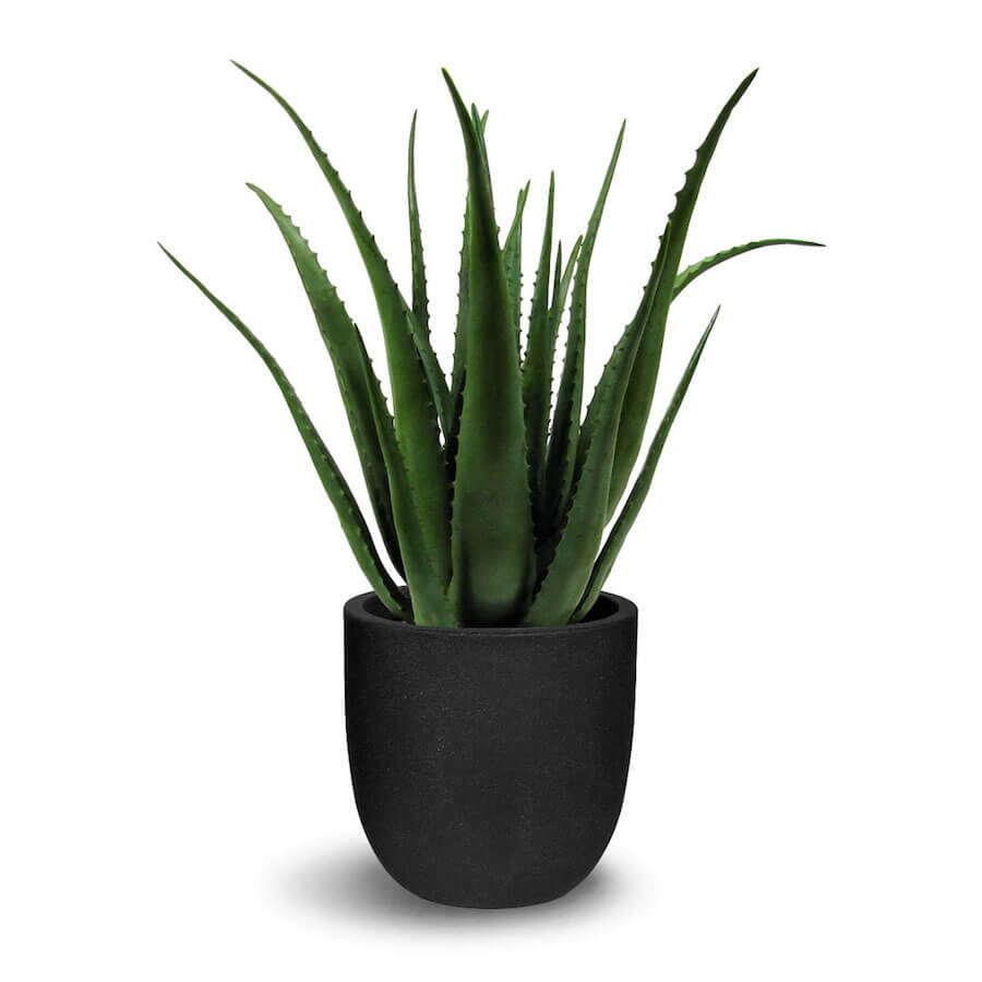 Best ideas about Vera Deck Planters
. Save or Pin Aloe Vera Artificial Plant Now.