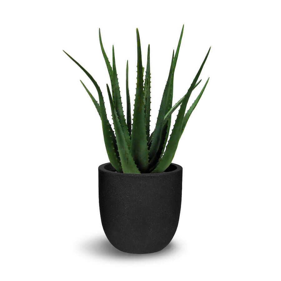 Best ideas about Vera Deck Planters
. Save or Pin Aloe Vera Artificial Plant Now.