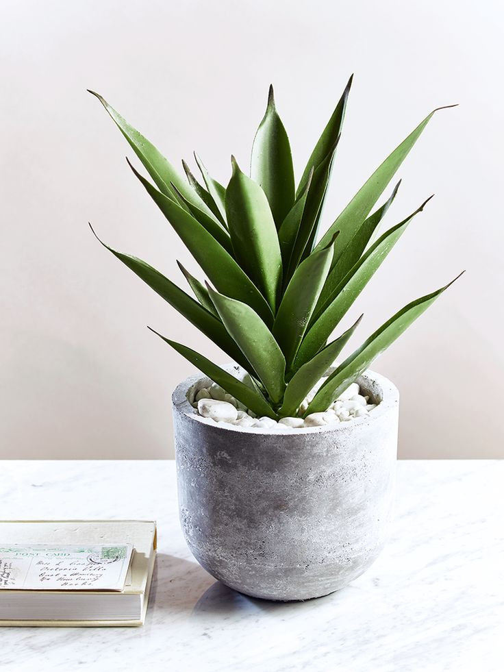 Best ideas about Vera Deck Planters
. Save or Pin 25 bästa Concrete pots idéerna på Pinterest Now.