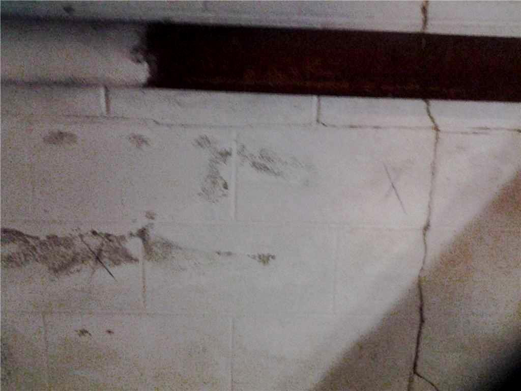 Best ideas about Vertical Crack In Basement Wall
. Save or Pin Foundation Repair CarbonArmor™ Stabilizes Basement in Now.