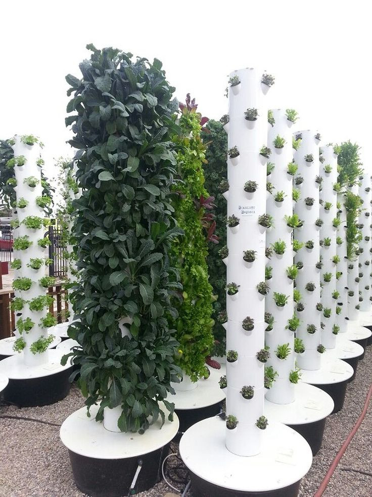 Best ideas about Vertical Hydroponic Garden
. Save or Pin 25 beautiful Vertical hydroponics ideas on Pinterest Now.