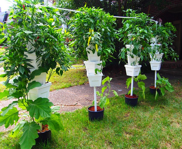 Best ideas about Vertical Hydroponic Garden
. Save or Pin Step By Step Hydroponics Systems Gardening Full Tutorial Now.