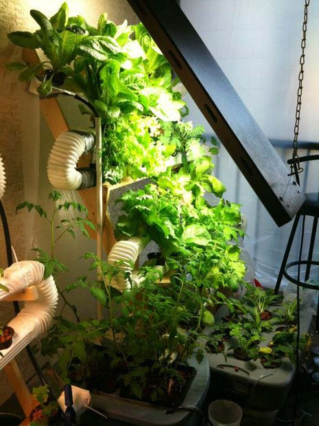 Best ideas about Vertical Hydroponic Garden
. Save or Pin 12 Innovative Homemade Hydroponics Systems Now.