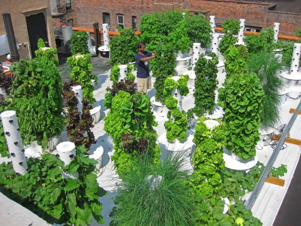 Best ideas about Vertical Hydroponic Garden
. Save or Pin Vertical Hydroponic Gardening 1 • TheCoolist The Modern Now.