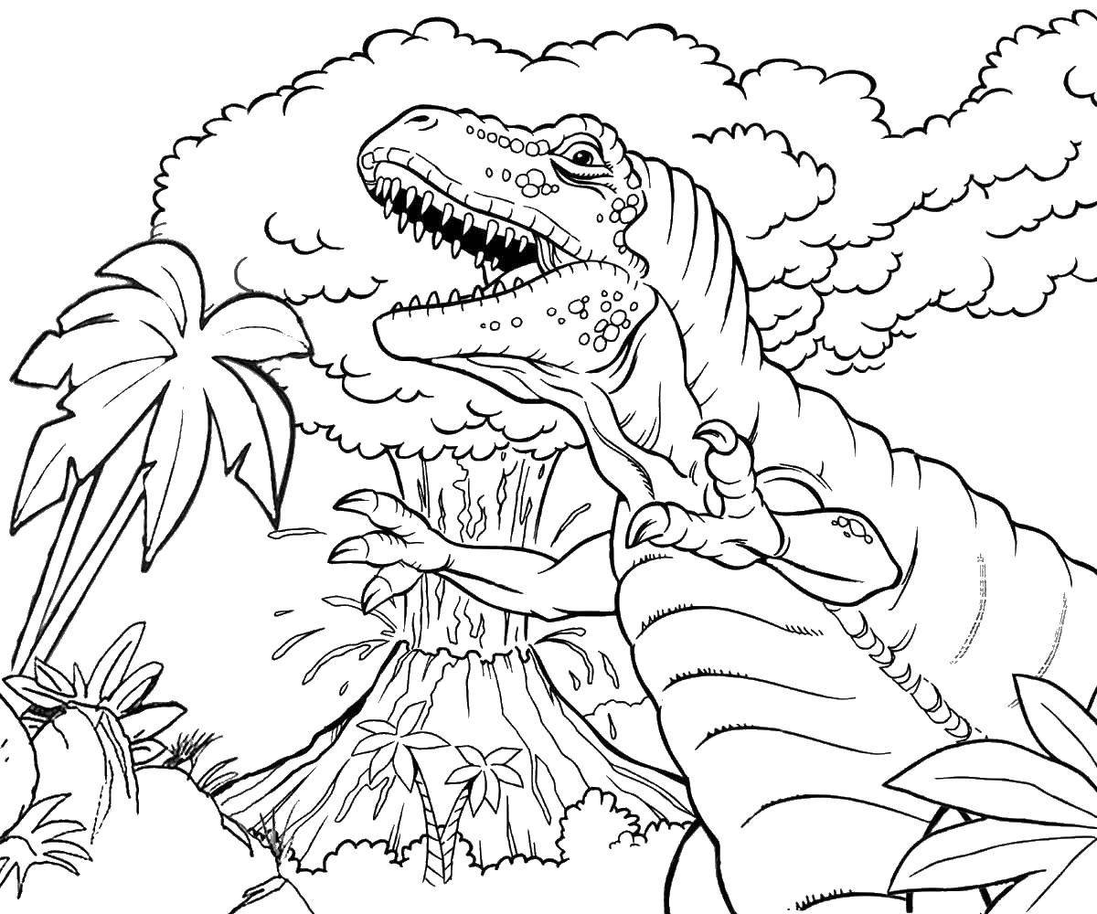 Volcano Coloring Pages
 Free Printable Volcano Coloring Pages For Kids