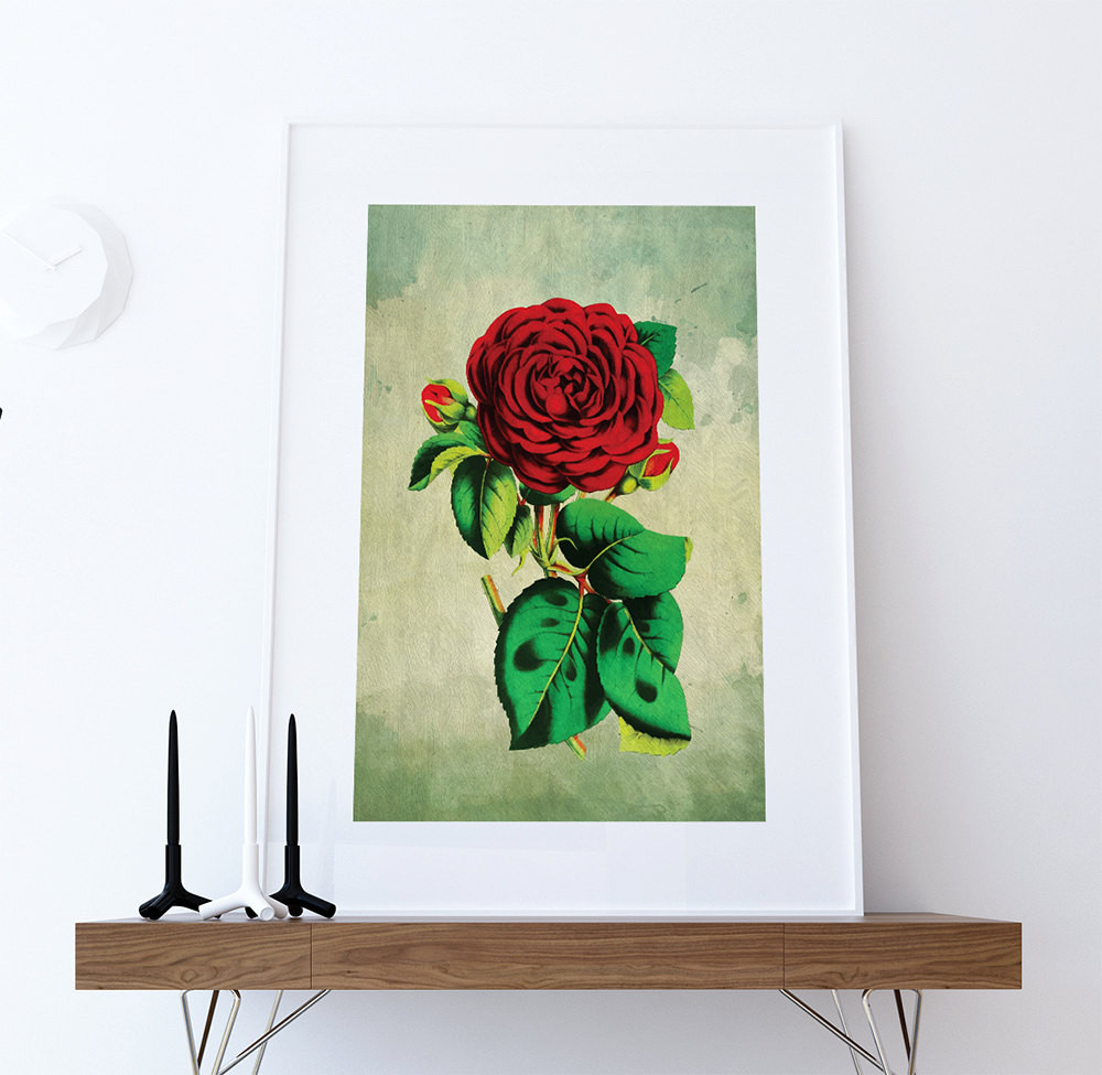 Best ideas about Wall Art Prints
. Save or Pin Rose decor Red Rose art Rose t botanical print flower Now.