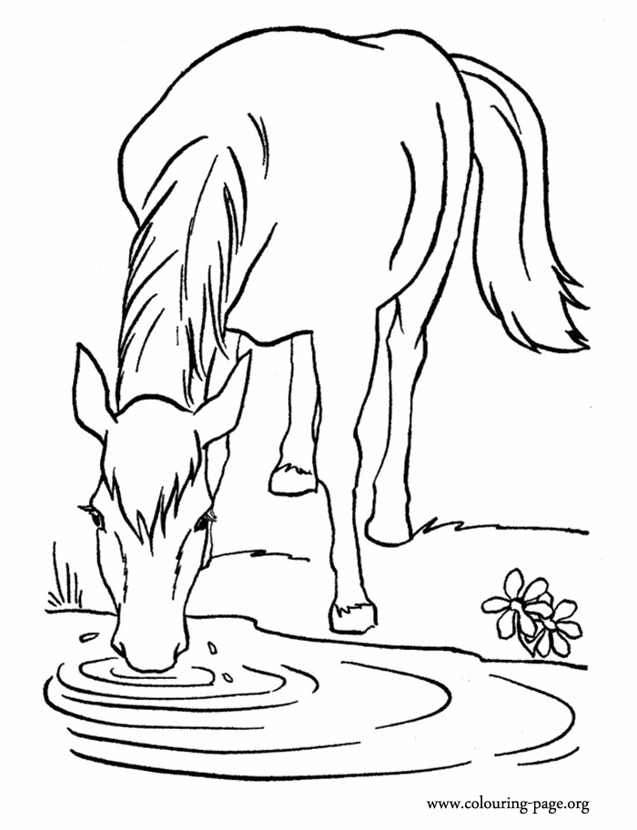 Water Coloring Book
 Coloring Page Drinking Water Coloring Home
