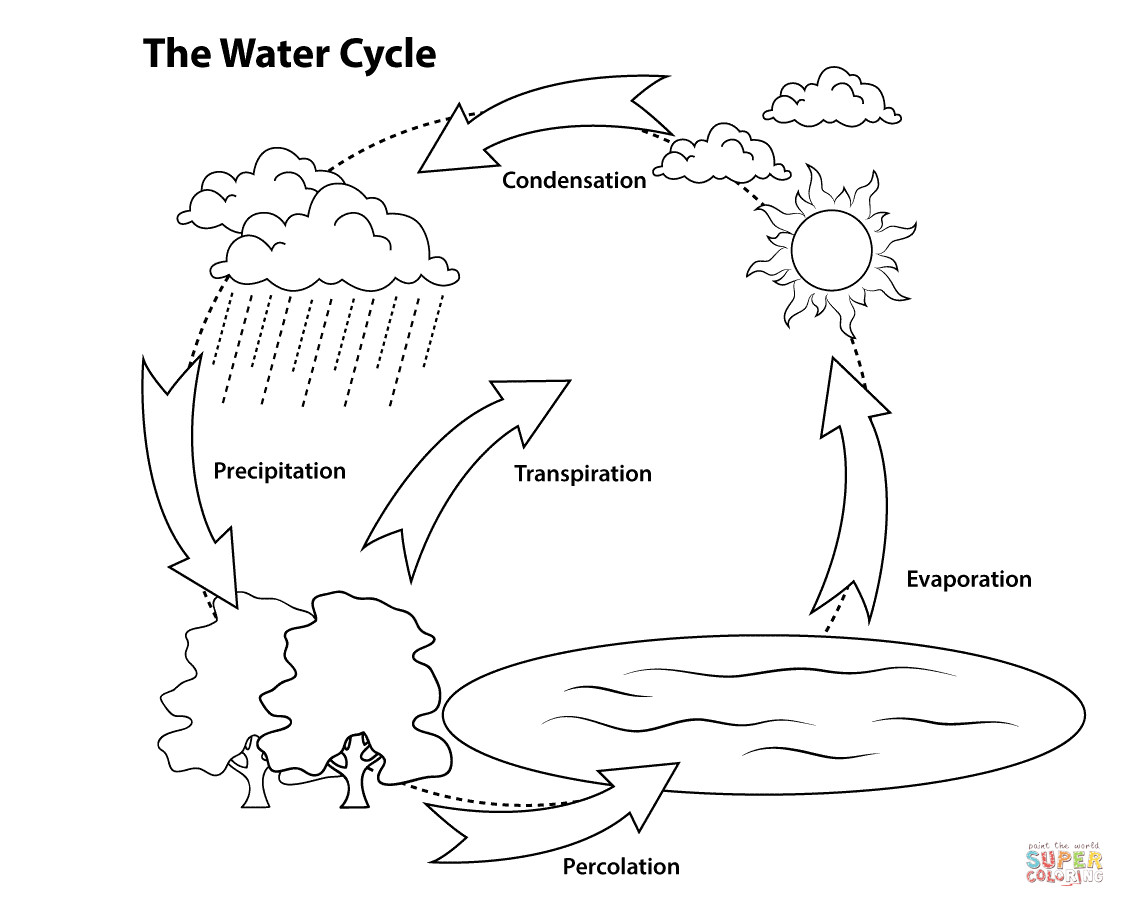 Water Coloring Pages
 Simple Water Cycle coloring page