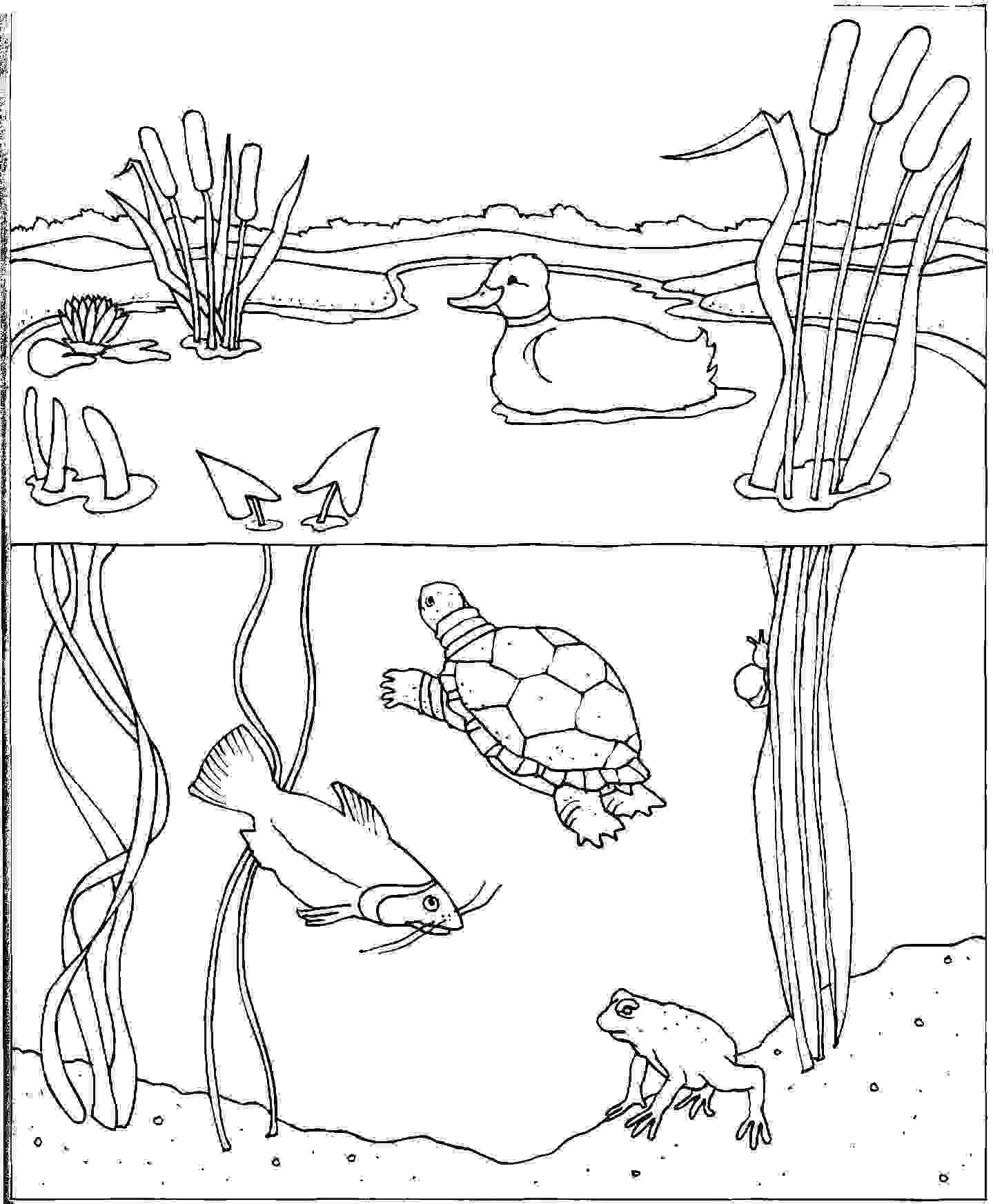 Water Coloring Pages
 Water Coloring Pages water cycle coloring pages – Kids