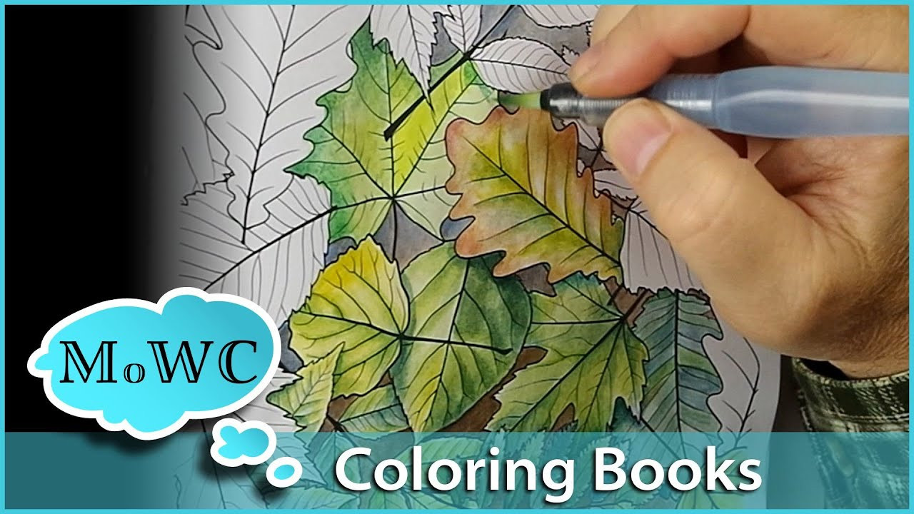 Watercolor Coloring Books For Adults
 Coloring with Watercolor in Adult Coloring Books