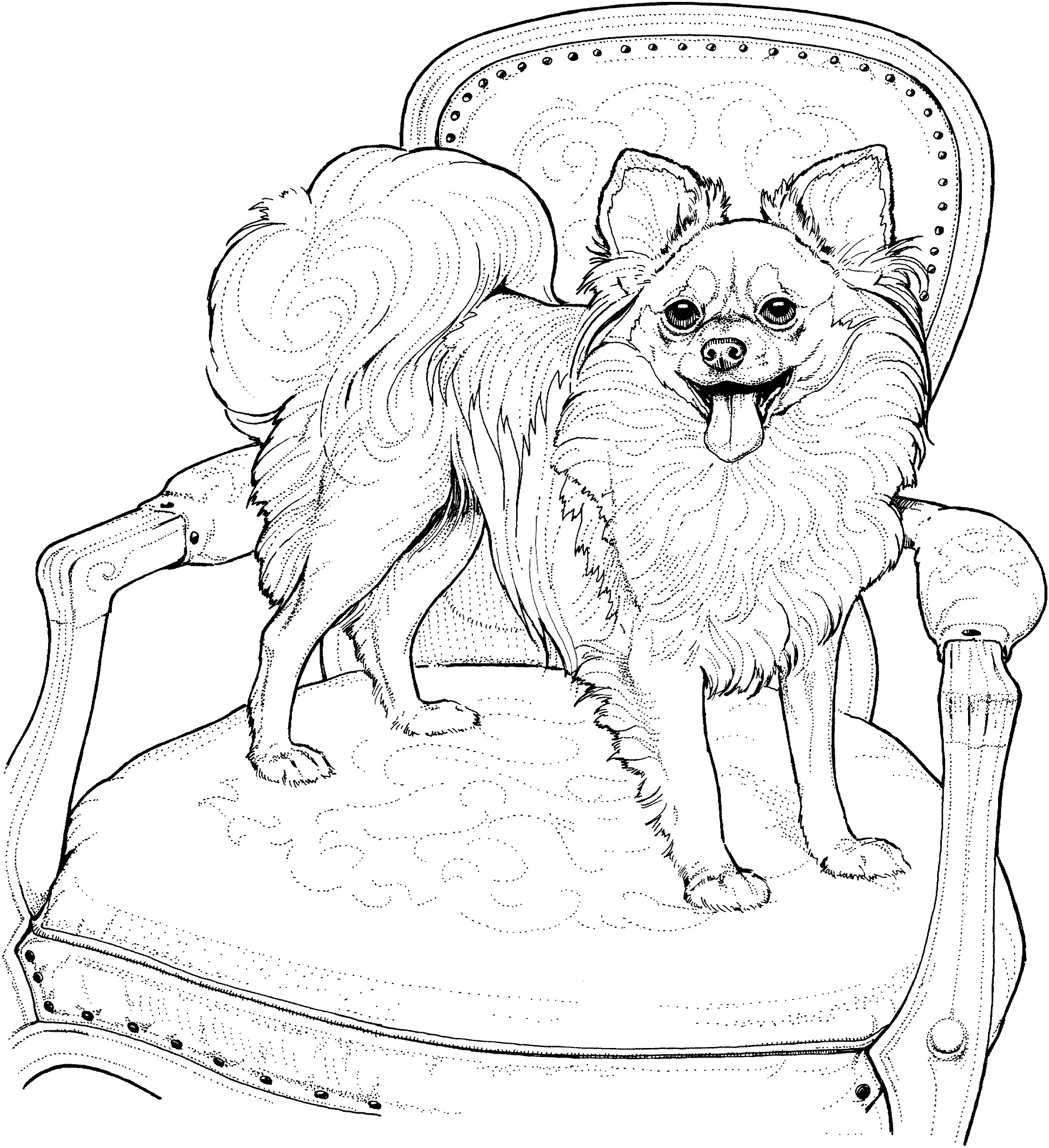 What To Do With Coloring Book Pages
 Pomeranian Coloring Page Coloring Home