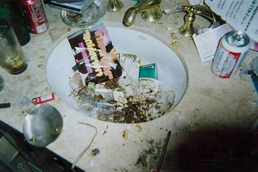 whitney houston bathroom sink photo