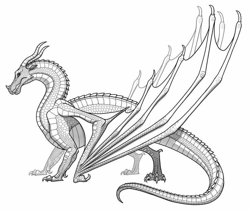 Wings Of Fire Coloring Pages
 Dragon Coloring Pages Printable