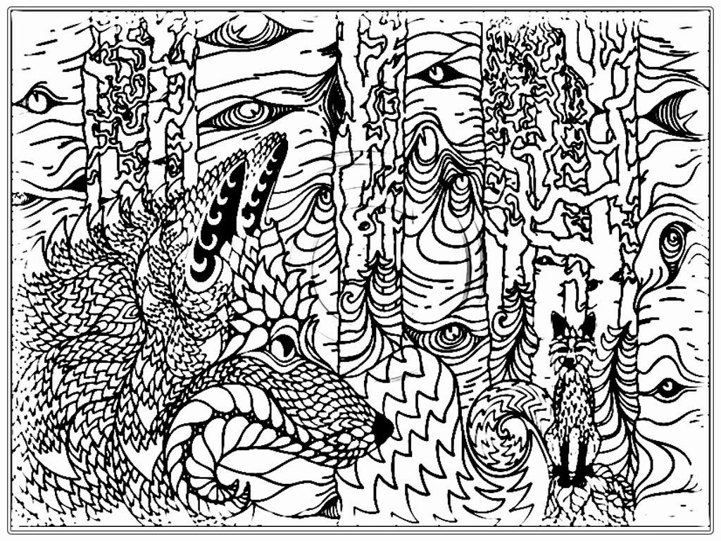 Wolf Coloring Pages For Adults
 Realistic Wolf Adult Coloring Pages
