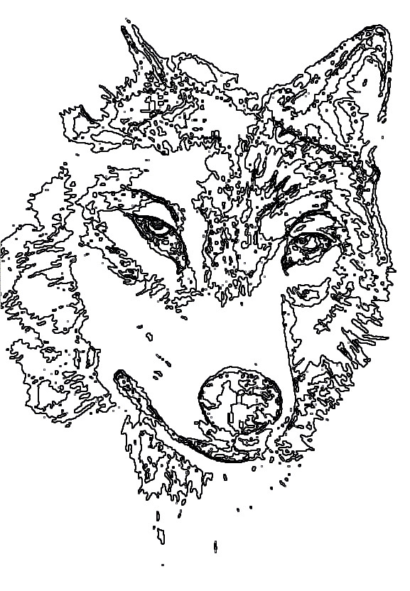 Wolf Coloring Pages For Adults
 Animal Coloring Pages for Adults Bestofcoloring