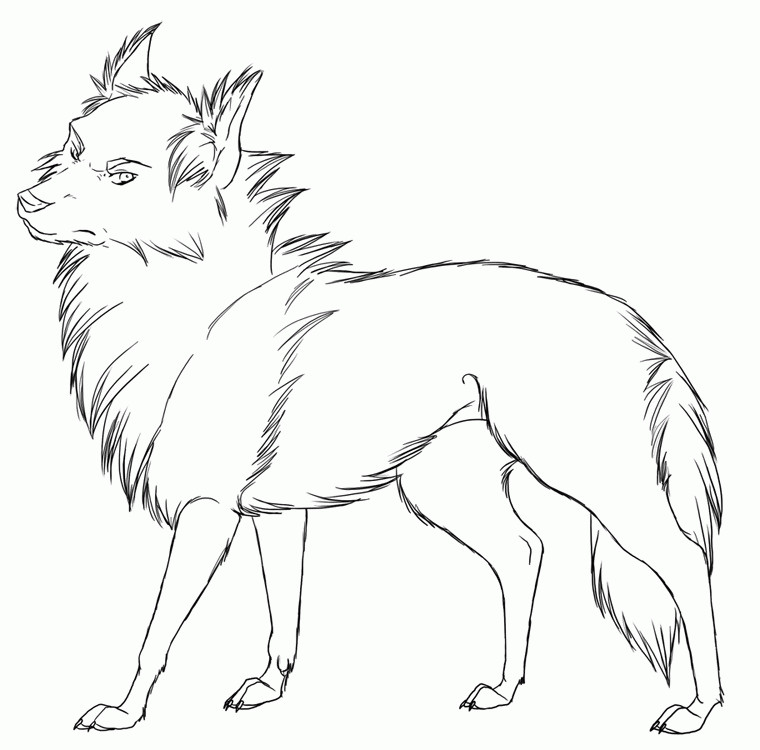 Wolf Coloring Pages For Teens
 Animal Coloring Pages For Teens Coloring Home