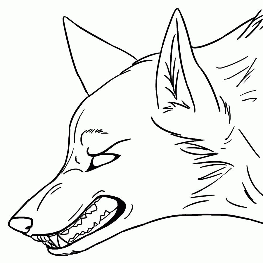 Wolf Coloring Pages For Teens
 Coloring Pages Anime Wolves Coloring Home