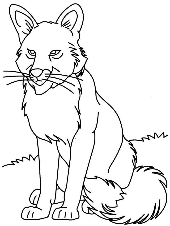 Wolf Coloring Pages
 Free Printable Wolf Coloring Pages For Kids