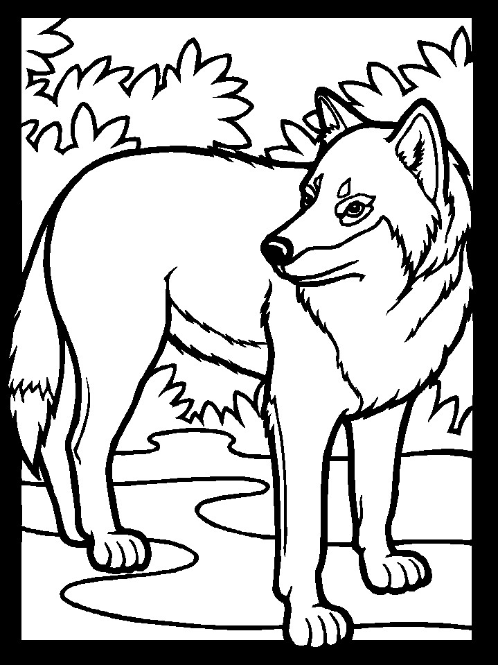 Wolf Coloring Pages
 Free Printable Wolf Coloring Pages For Kids