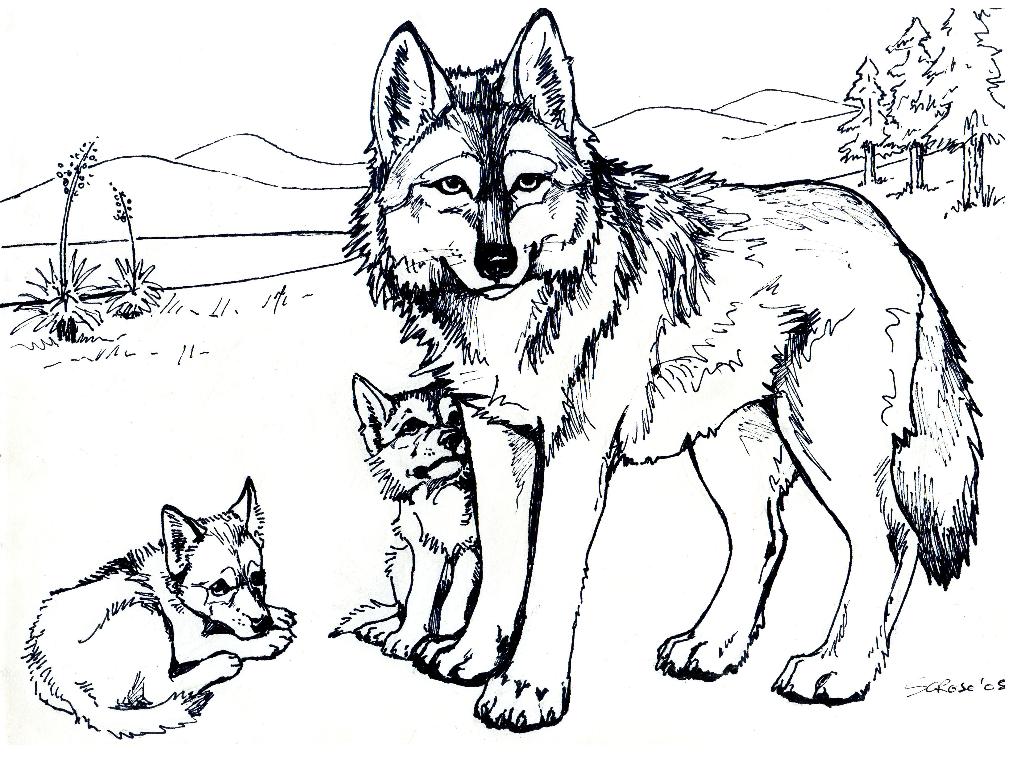 Wolf Coloring Pages
 Free Printable Wolf Coloring Pages For Kids