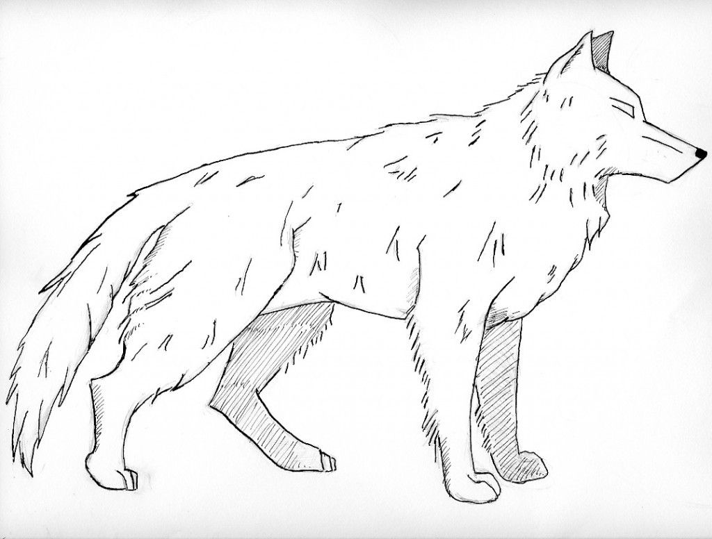 Wolf Coloring Pages
 Free Printable Wolf Coloring Pages For Kids