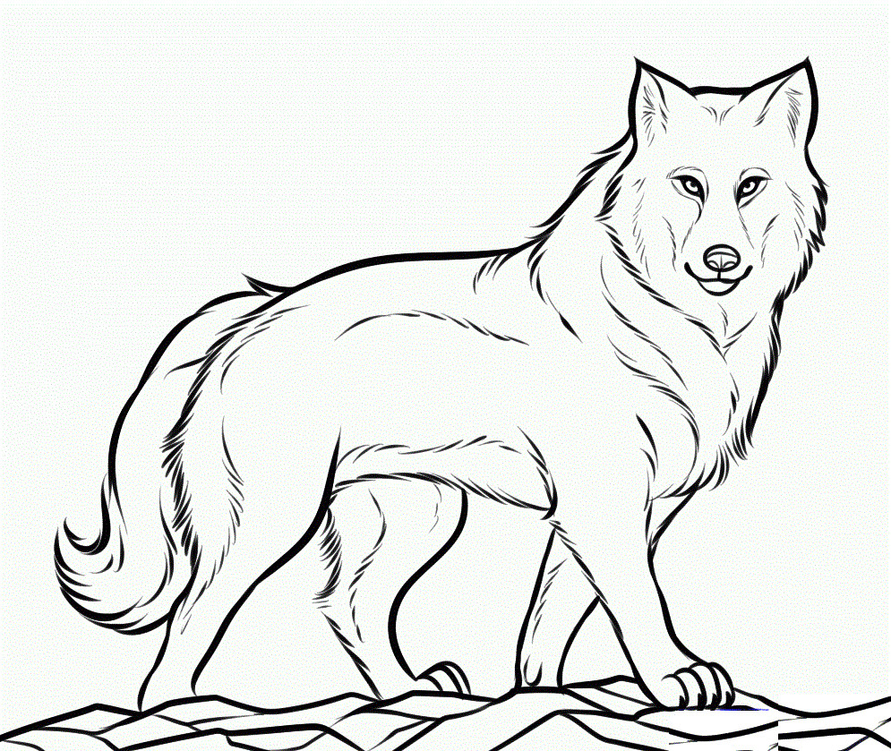 Wolves Coloring Pages For Kids
 Free Printable Wolf Coloring Pages For Kids