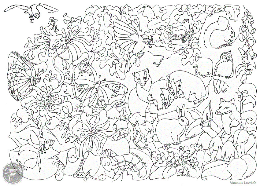 Best ideas about Woodland Coloring Sheets For Boys
. Save or Pin Free Woodland Coloring Pages Coloring Home Now.